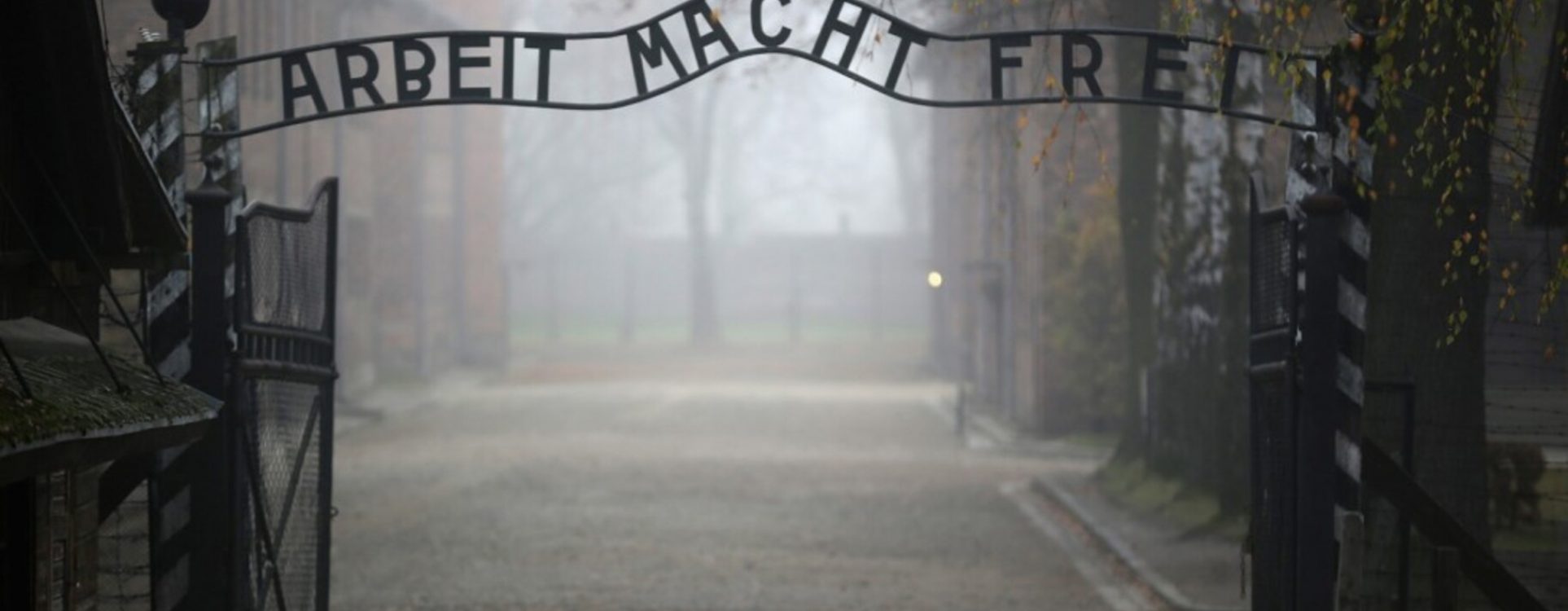 Auschwitz D (1)